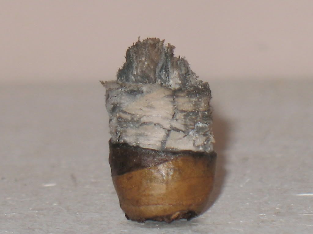 Cigarpics007.jpg