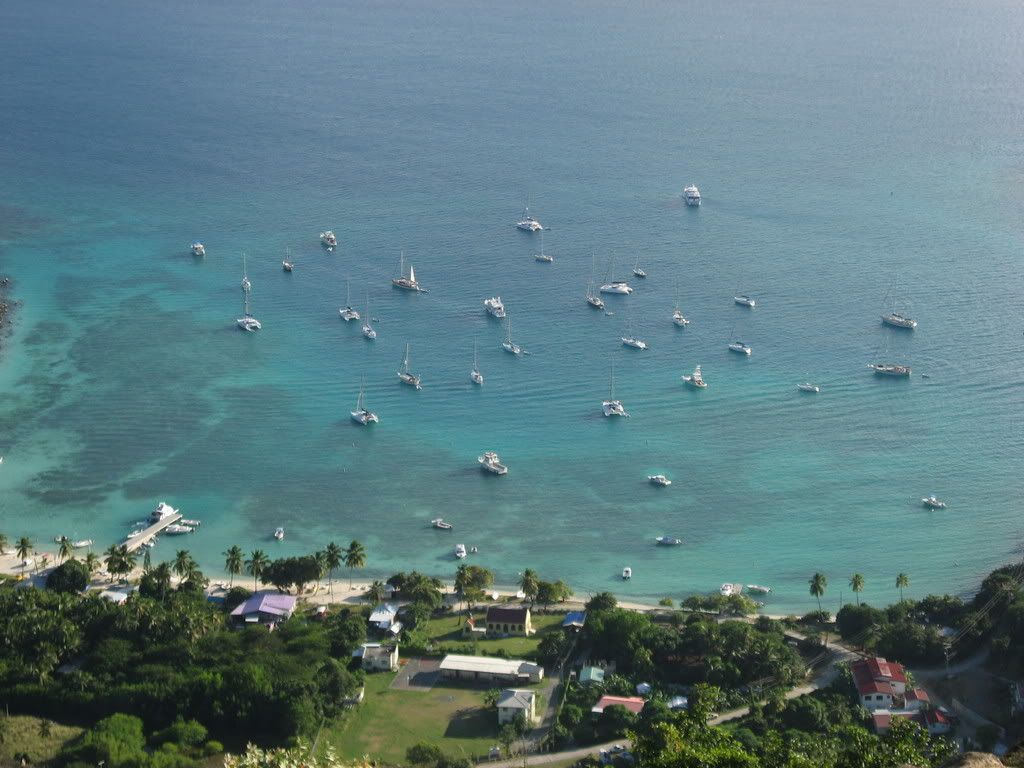 BVI6.jpg