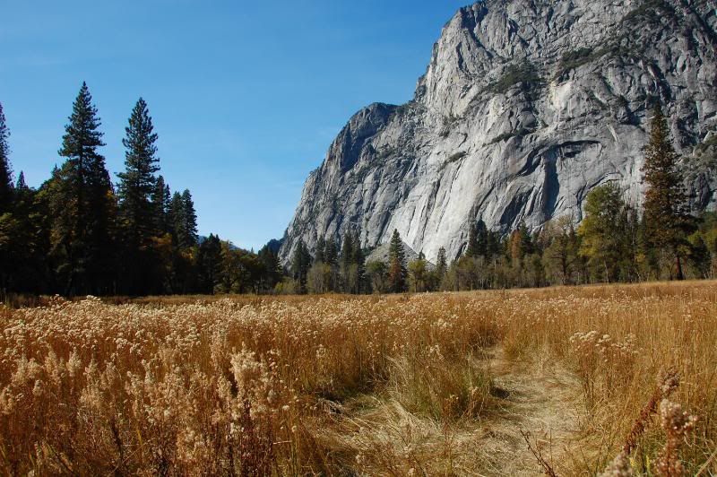 DSC_1454.jpg