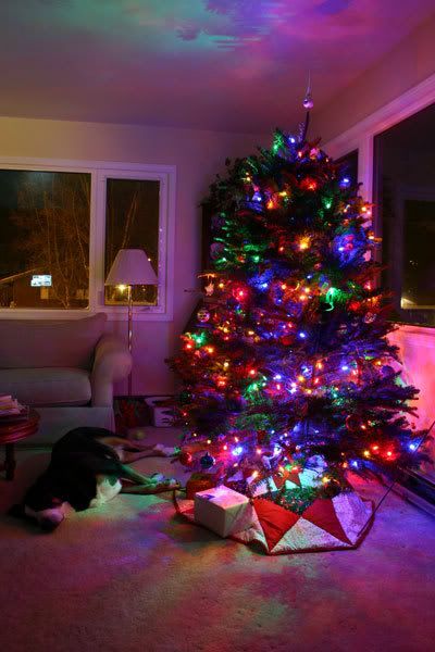 tree.jpg