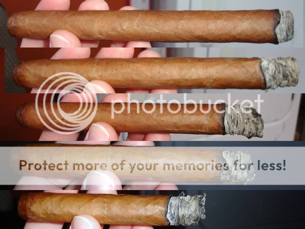 01-31-09Mokistick5003.jpg
