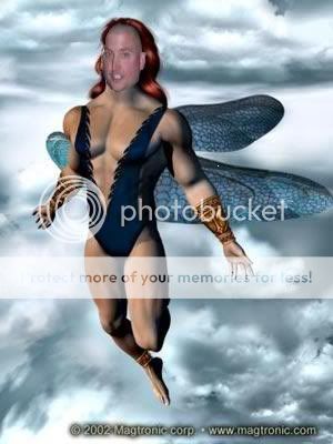 Davidfairy.jpg