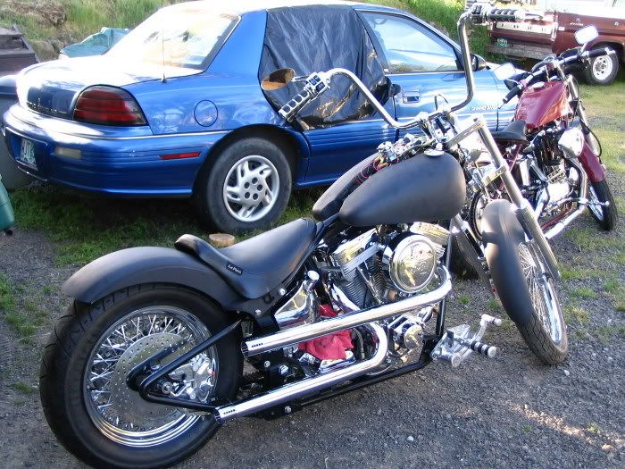 Softail5.jpg