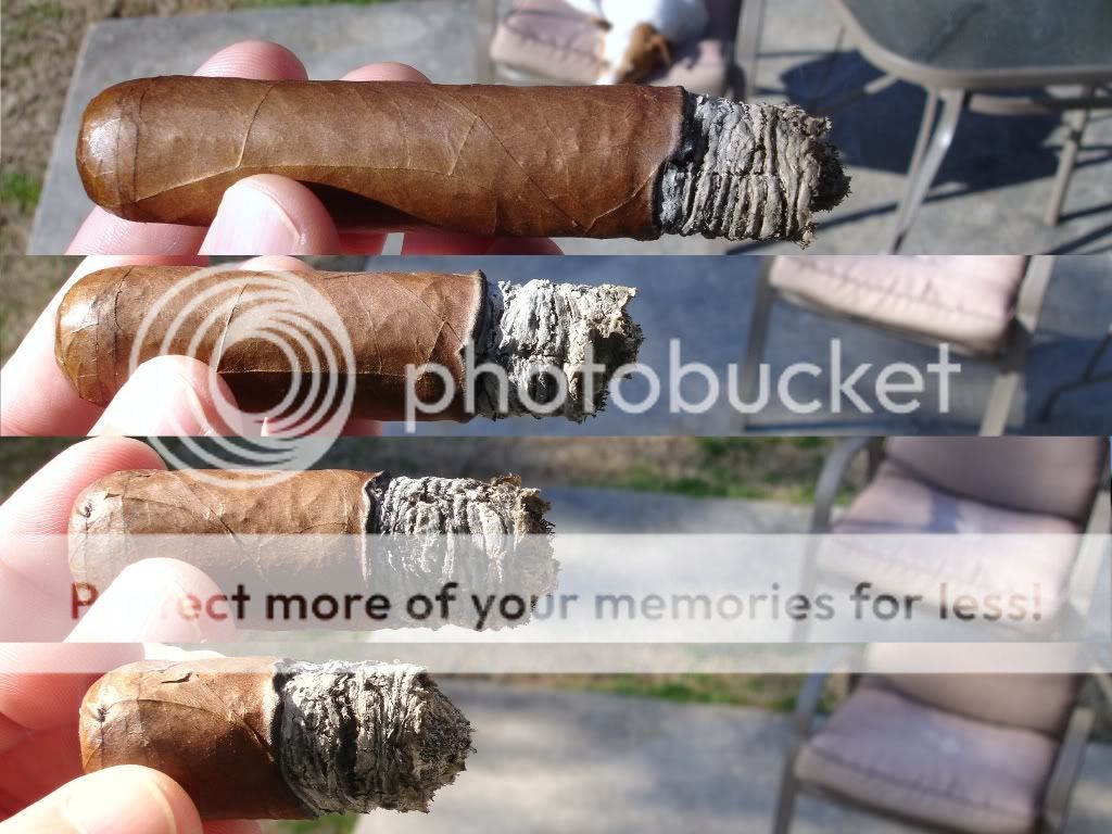 MokiStickNo11003.jpg