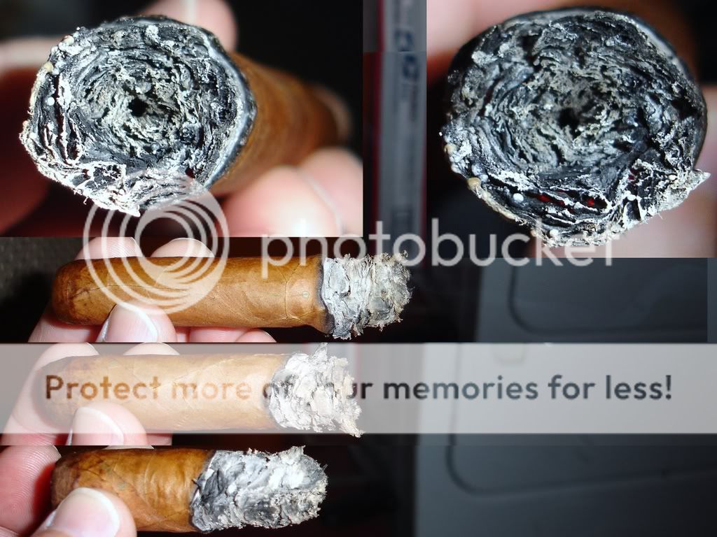 01-31-09Mokistick5004.jpg