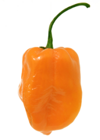 habanero.jpg