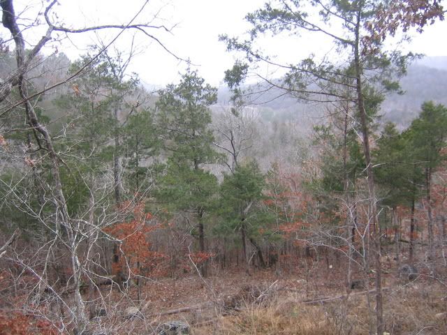 IMG_2095.jpg