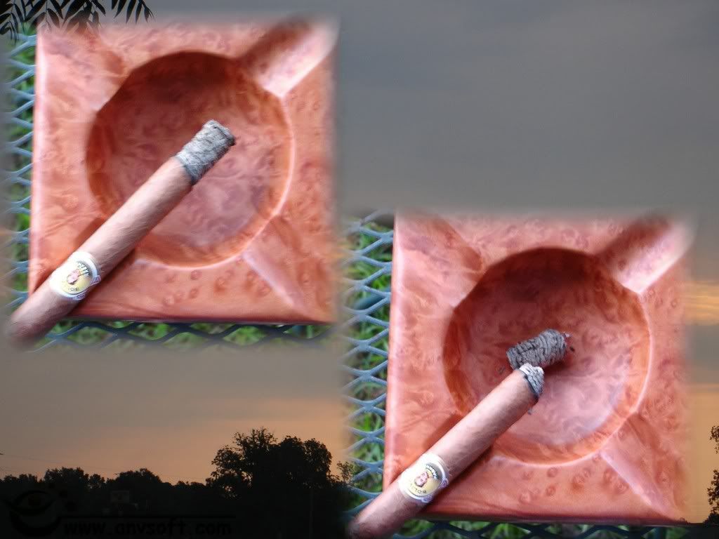 Bolicollage003.jpg