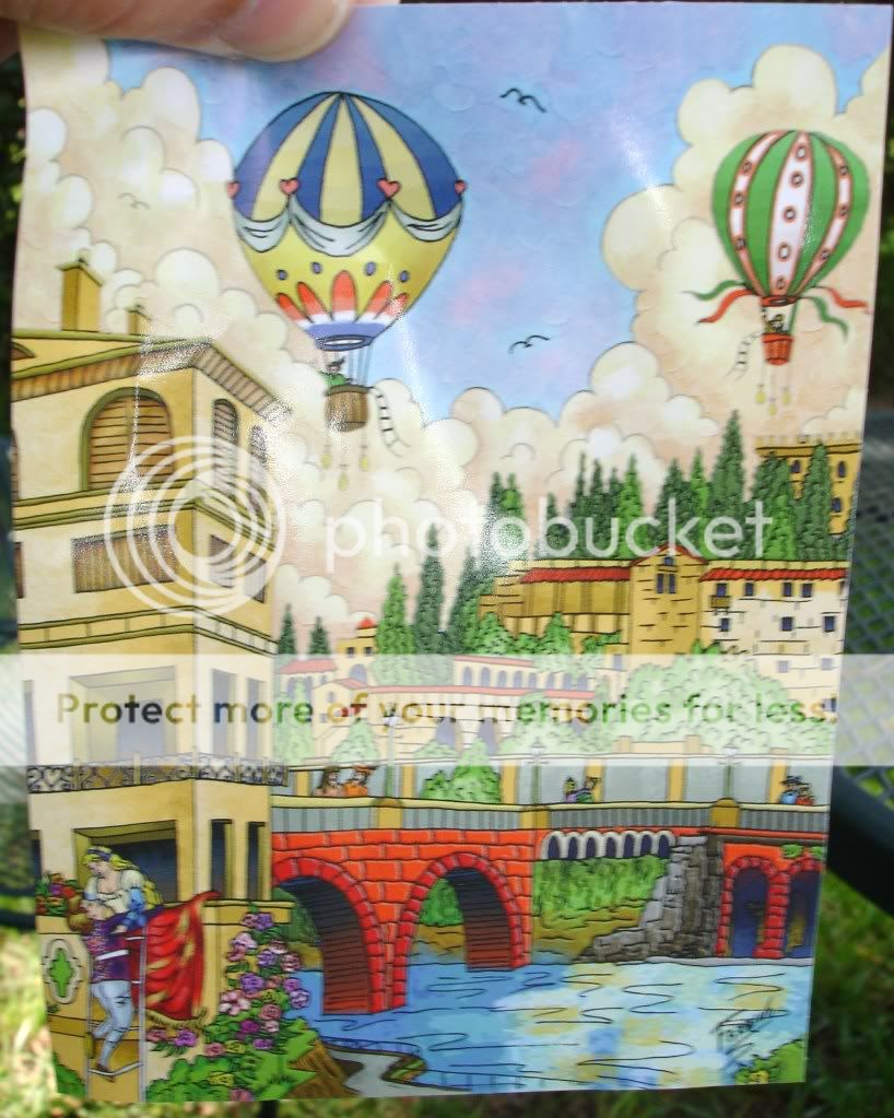 DSC08255.jpg
