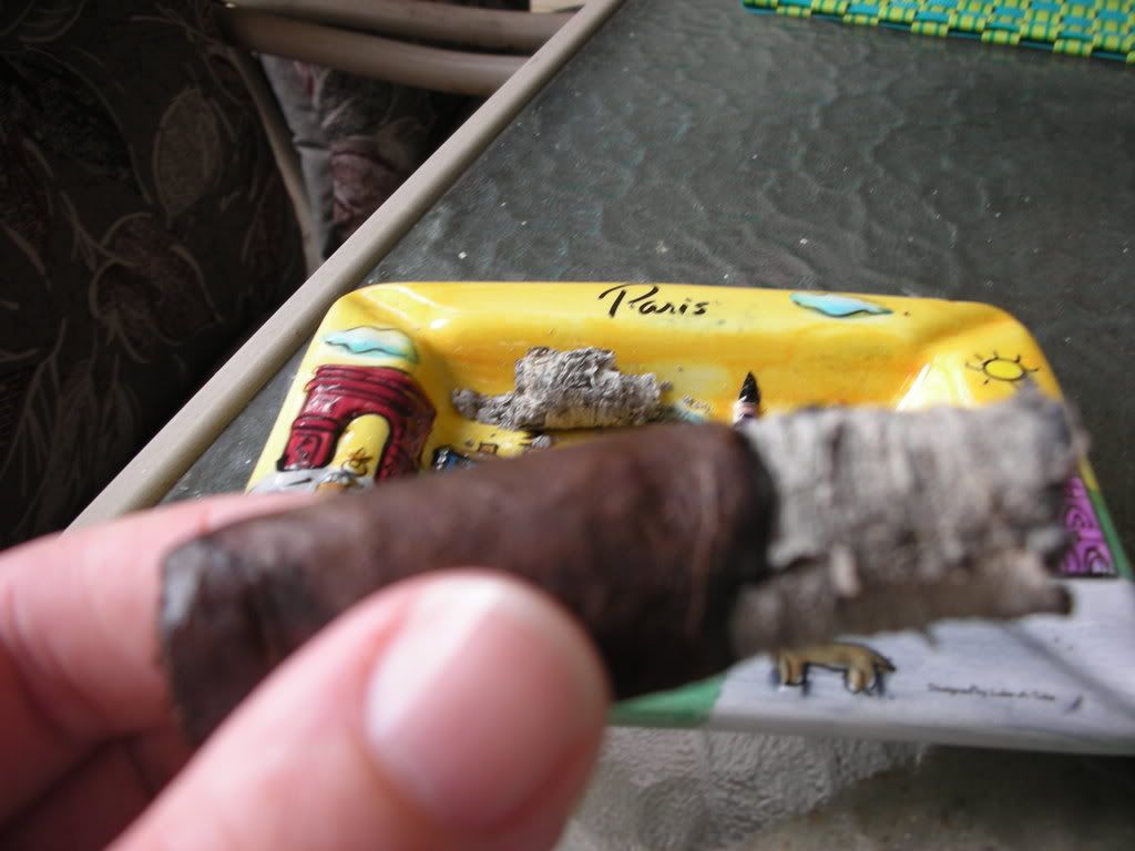 DSCN0548.jpg