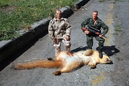 Roadkill.jpg