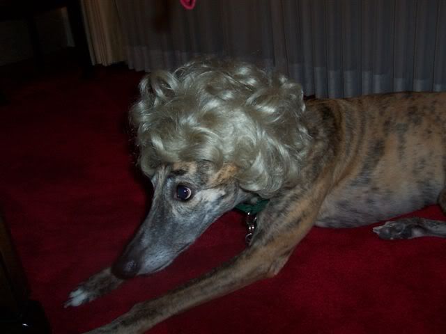 wig2.jpg