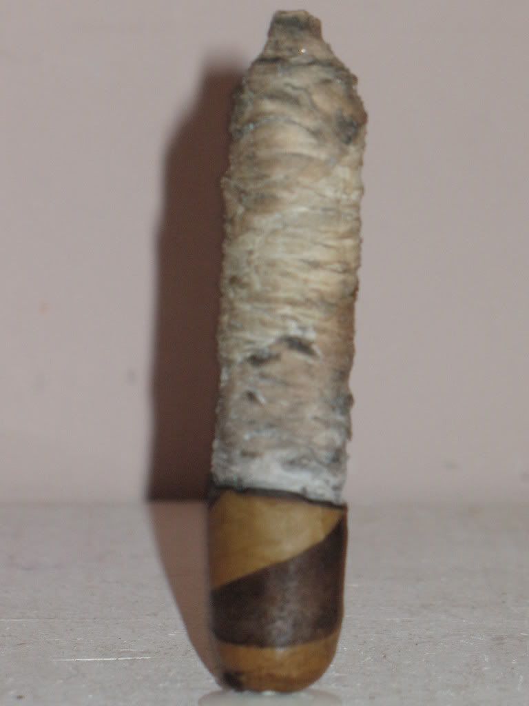Cigarpics006.jpg