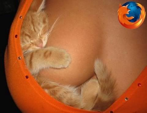 firefoxcat.jpg
