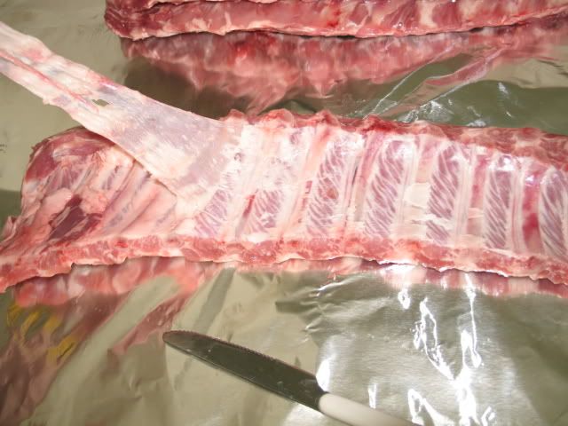 Ribs004.jpg