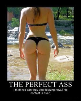 PerfectAss_zps474ad569.jpeg