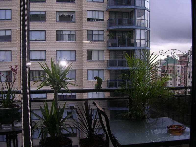 DSCN2799.jpg