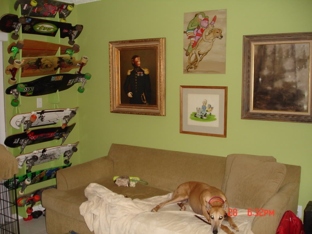 doggy381.jpg
