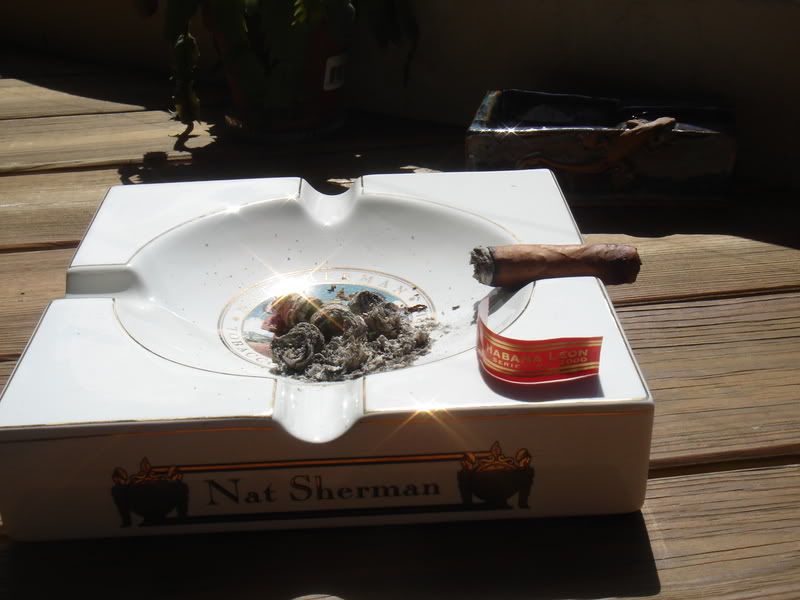 HabanaLeon057.jpg