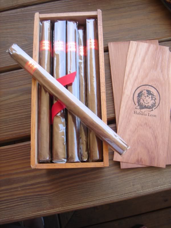 HabanaLeon015.jpg