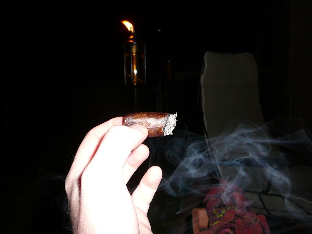 P1000737.jpg