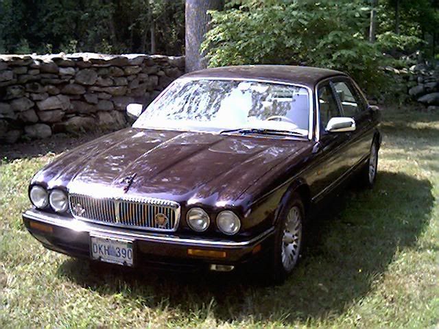 Jaguar19966.jpg