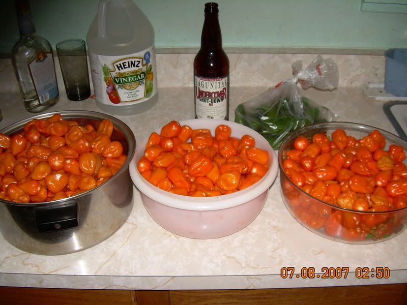 DSCN0889.jpg