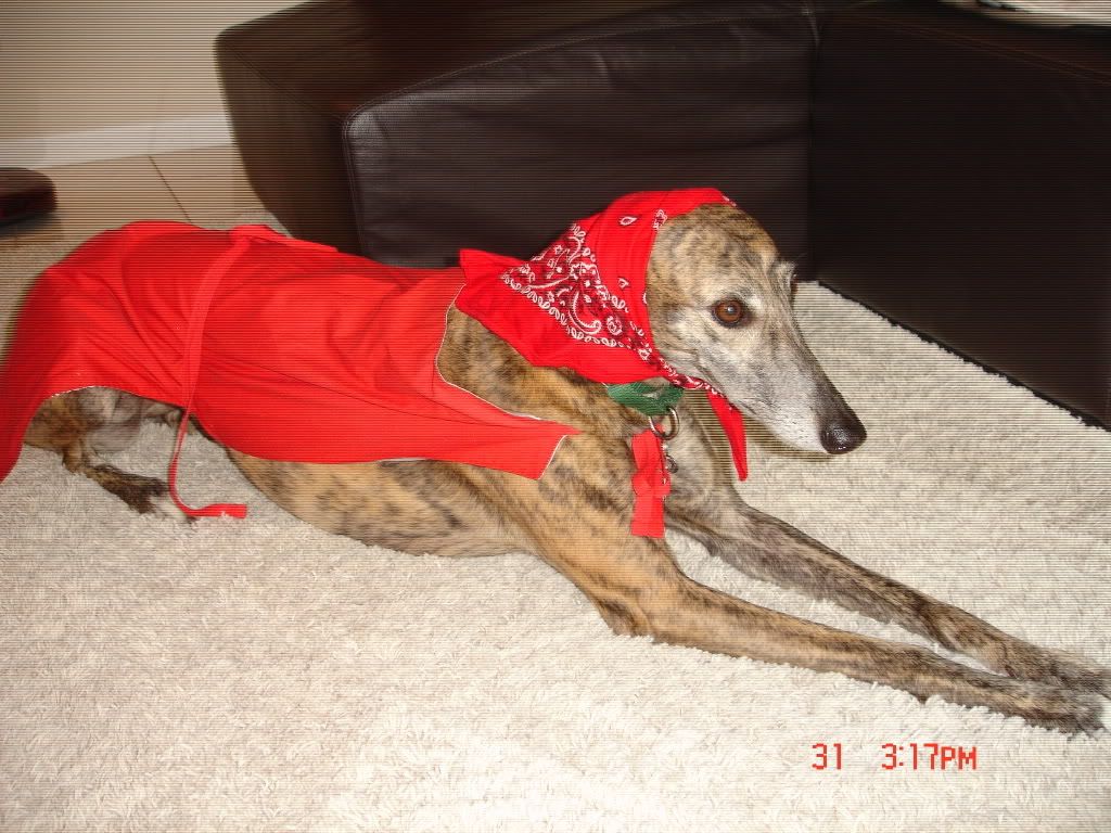 doggie125.jpg