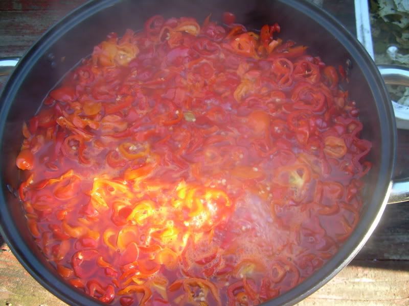 DSCN2027.jpg