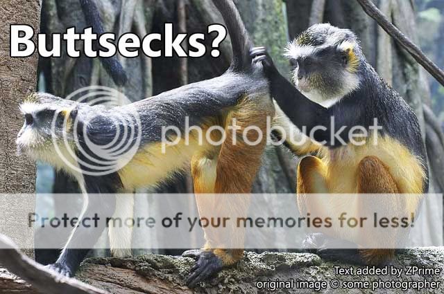 Buttsecks-monkeys.jpg