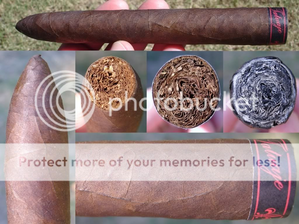 10-08-10TatDrac001.jpg