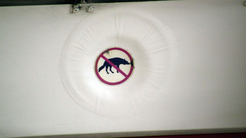 EAFB_Coyote.jpg