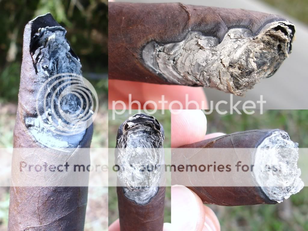10-31-09TatTheDrac004.jpg