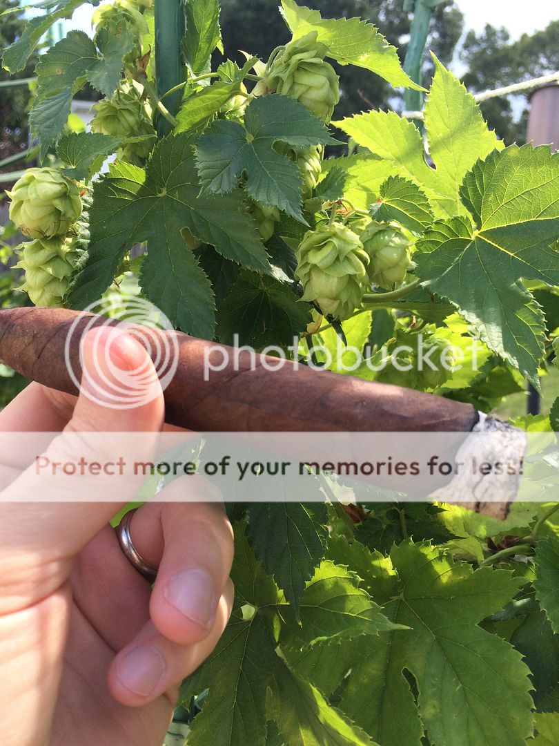 24DCE4AB-3A22-439C-BD53-CE3D0F4F5758.jpg