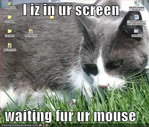 cat-screen-mouse.jpg