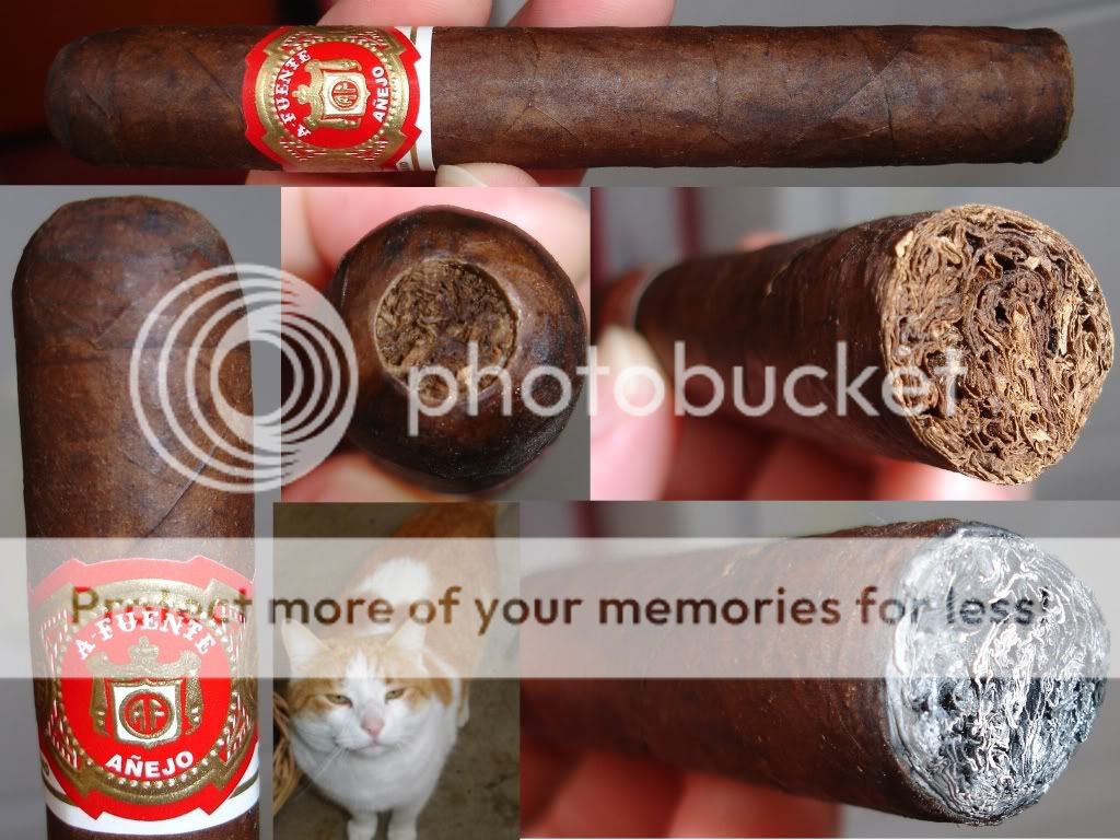 04-13-09Anejo50001.jpg