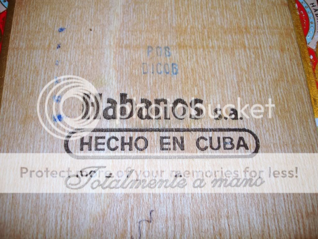 DSC00204.jpg