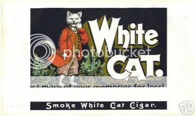 WhiteCatCigar2.jpg
