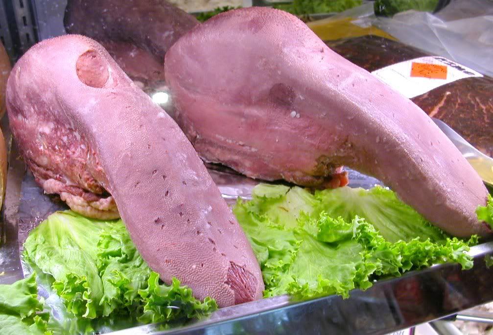 tongue1.jpg