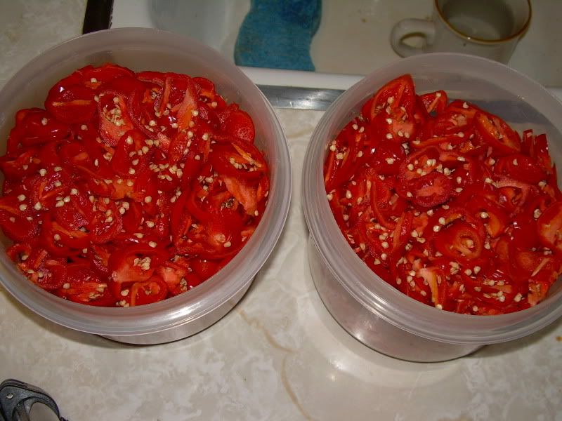DSCN1744.jpg