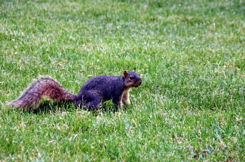 IMG_3984.jpg