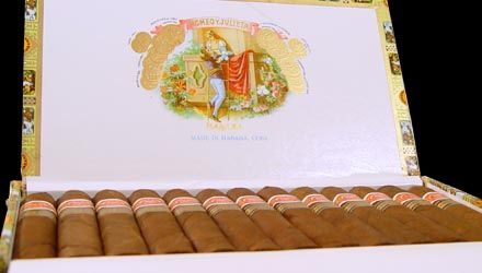 RyJRobustosEL2001Box.jpg