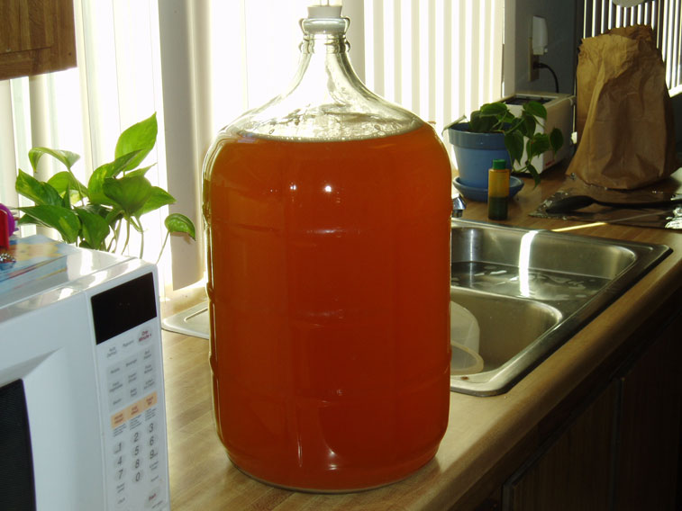 BeforeSiphon.jpg