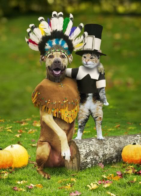 catdogthanksgiving.jpg