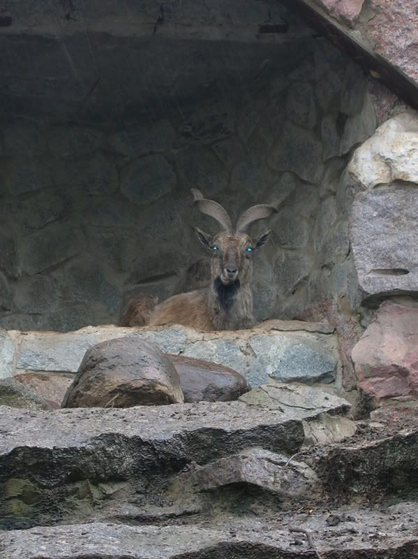 DSCN1421.jpg