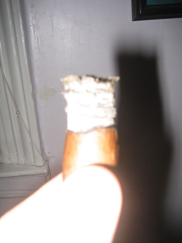 196_9628.jpg