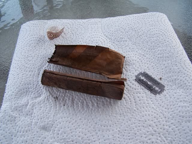 PluggedPadron002.jpg