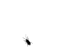 16betehi6.gif