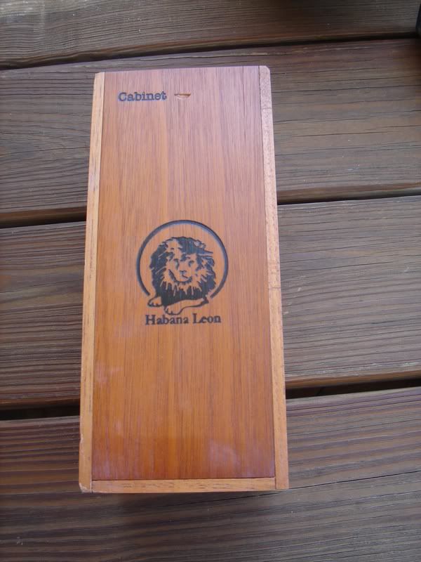 HabanaLeon013.jpg