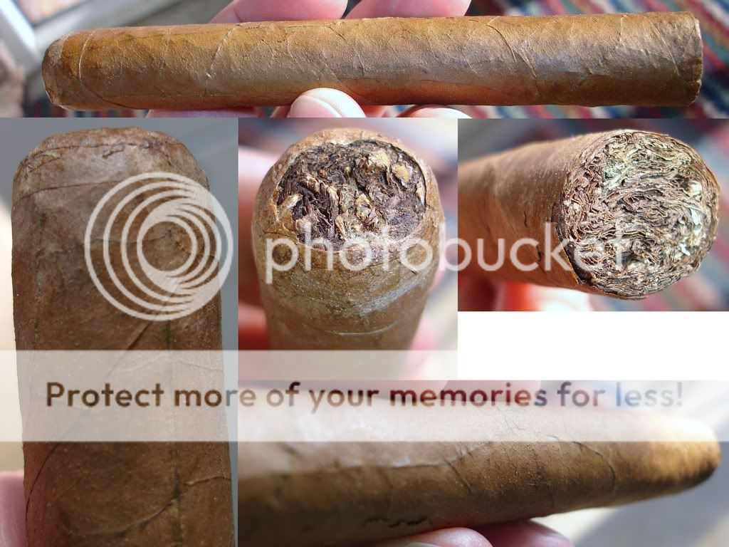 02-04-09StickNo2001.jpg